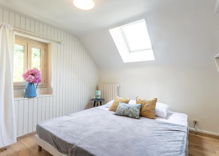 Wonderful House In Sarlat Center With Heated Pool & Jaccuzi